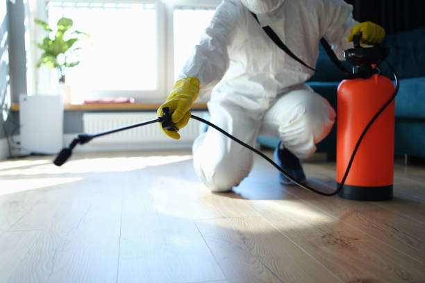 Reliable Hoarding Cleanup contractor in Palm Springs, CA by Dulley Family Biohazard Services